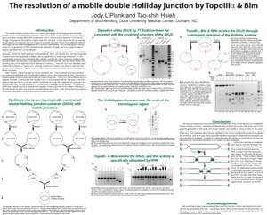 An example of a well-designed poster